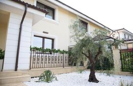 Vilă Superbă, Superfinisată, cu Piscină Încălzită, zona Borhanci