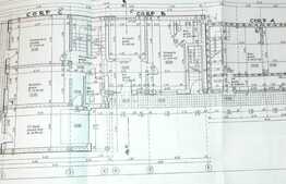 De vanzare 2 case la pret de una, in aceeasi curte cu teren 565 mp