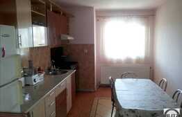 De vanzare 2 case la pret de una, in aceeasi curte cu teren 565 mp