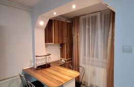 Garsonieră Luminoasă, 28 mp, în Inima Zonei Astra