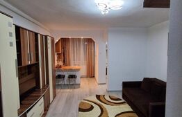 Garsonieră Luminoasă, 28 mp, în Inima Zonei Astra