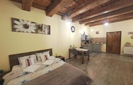 Studio nou renovat, în Centrul Istoric al Brașovului – ideal afacere Booking