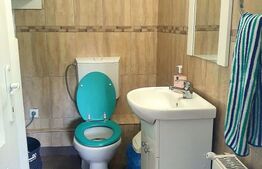 Casa individuală 4 camere, 130 mp, teren 660 mp, Salicea