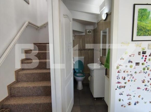 Casa de vânzare 4 camere Salicea - 183808CV | BLITZ Cluj-Napoca | Poza15