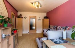 Apartament 2 camere, Grigorescu, Donath, Comision 0%