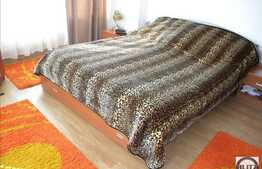 Casa care stie sa se faca remarcata! 300 mp utili, 421 mp de teren!