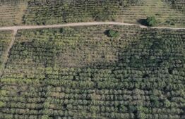 Teren extravilan, 1000 mp - zona Wonderland