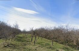 Teren extravilan, 1000 mp - zona Wonderland