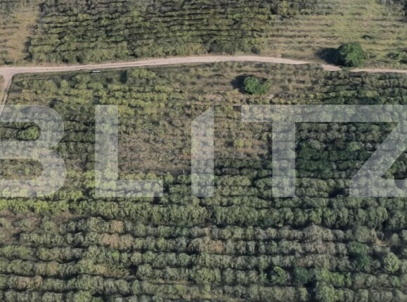 Teren de vânzare Exterior Sud - 183834TV | BLITZ Cluj-Napoca | Poza3