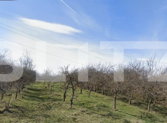 Teren de vânzare Exterior Sud - 183834TV | BLITZ Cluj-Napoca | Poza2