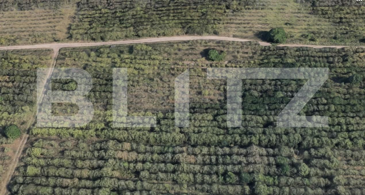 Teren de vânzare Exterior Sud - 183834TV | BLITZ Cluj-Napoca | Poza3