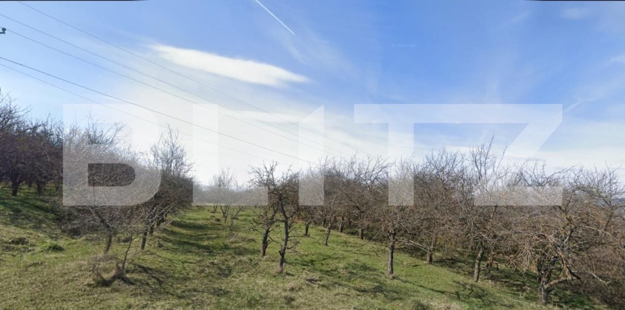 Teren de vânzare Exterior Sud - 183834TV | BLITZ Cluj-Napoca | Poza2