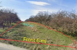 Teren extravilan, 1540 mp - zona Balta Feleacu