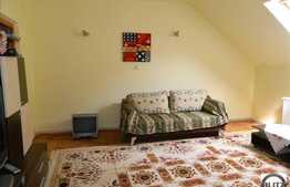 Casa de vanzare in zona Andrei Muresanu, 250mp utili cu 700 mp gradina