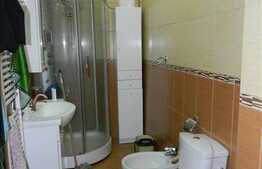 Casa de vanzare in zona Andrei Muresanu, 250mp utili cu 700 mp gradina