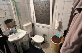 Apartament la casa, 28 mp, zona Platinia