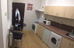 Apartament la casa, 28 mp, zona Platinia