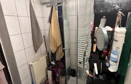 Apartament la casa, 28 mp, zona Platinia