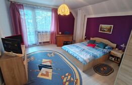 Casa de vacanta/locuit  7 camere, 420 mp utili, 1430 mp de teren, Marisel