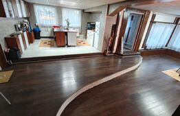 Casa de vacanta/locuit  7 camere, 420 mp utili, 1430 mp de teren, Marisel