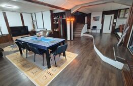 Casa de vacanta/locuit  7 camere, 420 mp utili, 1430 mp de teren, Marisel