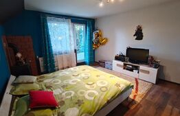 Casa de vacanta/locuit  7 camere, 420 mp utili, 1430 mp de teren, Marisel