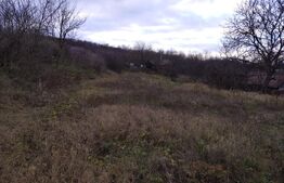 Proprietate cu teren 2460 mp si casa renovabila, Cojocna