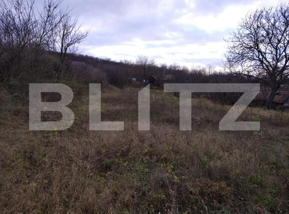 Casa de vânzare 2 camere Cojocna - 183945CV | BLITZ Cluj-Napoca | Poza4