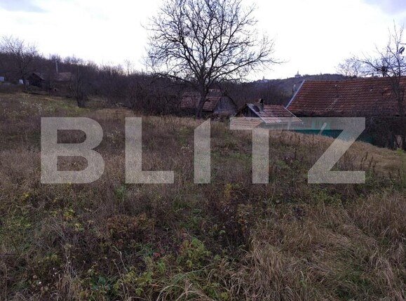 Casa de vânzare 2 camere Cojocna - 183945CV | BLITZ Cluj-Napoca | Poza8