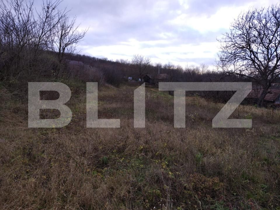 Casa de vânzare 2 camere Cojocna - 183945CV | BLITZ Cluj-Napoca | Poza4