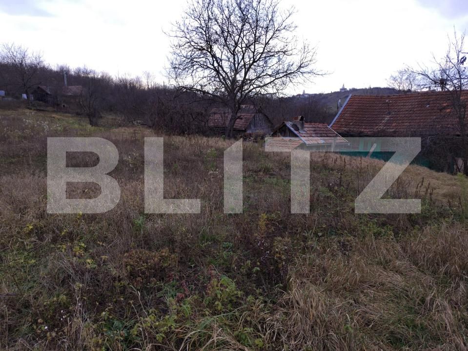 Casa de vânzare 1 camera Cojocna - 183945CV | BLITZ Cluj-Napoca | Poza3