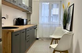 Apartament cu 1 camera, parter, zona Urusagului