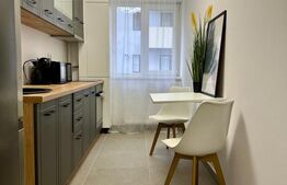 Apartament cu 1 camera, parter, zona Urusagului