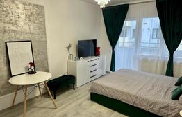 Apartament cu 1 camera, parter, zona Urusagului