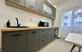 Apartament cu 1 camera, parter, zona Urusagului