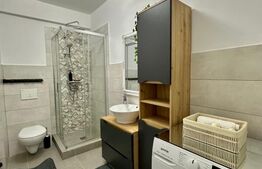 Apartament cu 1 camera, parter, zona Urusagului