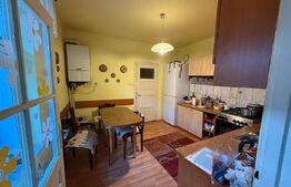 CASA MODESTA DE VANZARE CRISTIAN, 155.000 EUR NEGOCIABIL