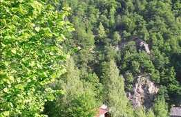 Cabana de vanzare in Somesul Rece