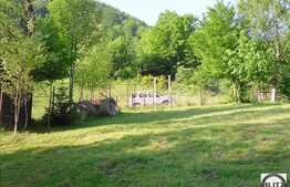 Cabana de vanzare in Somesul Rece