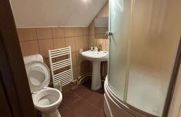 Cabana de vanzare Marisel - afacere la cheie!