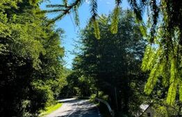 Cabana de vanzare Marisel