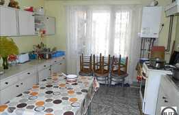 Casa in Andrei Muresanu, de vanzare, 118 mp utili si 376 mp gradina