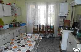 Casa in Andrei Muresanu, de vanzare, 118 mp utili si 376 mp gradina