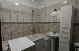 Apartament 1 camera, 35 mp, zona Florilor