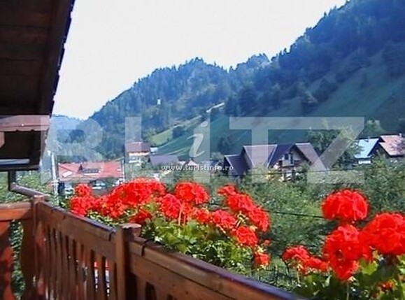 Spațiu comercial de vânzare Moieciu - 184039SVC | BLITZ Brașov | Poza10