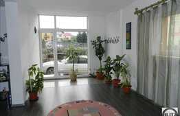 Casa de vanzare in Buna Ziua, 380 mp utili cu 385 mp gradina