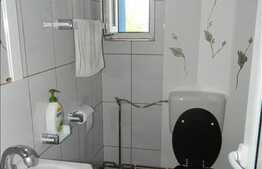 Casa de vanzare in Buna Ziua, 380 mp utili cu 385 mp gradina