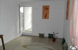 Casa de vanzare in Buna Ziua, 380 mp utili cu 385 mp gradina