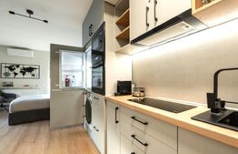 Garsoniera LUX, zona Iulius Mall