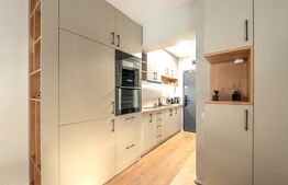 Garsoniera LUX, zona Iulius Mall